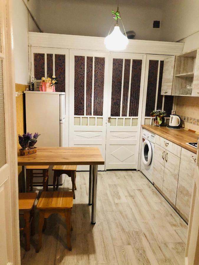 Vintage Apartment 2 Rooms With Balcony Lwów Zewnętrze zdjęcie