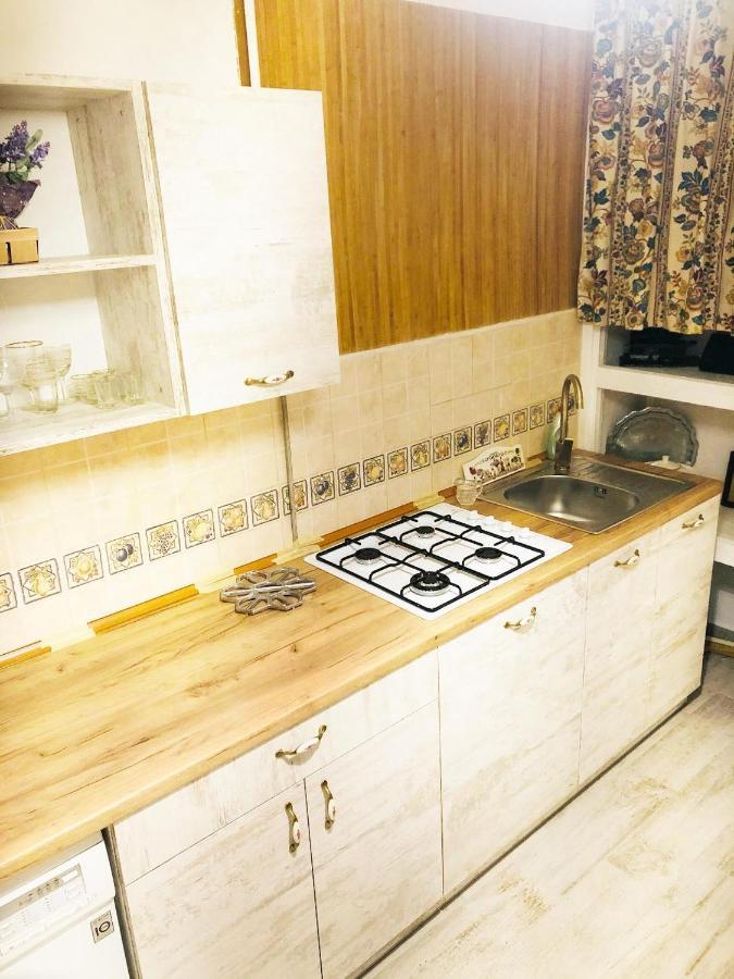 Vintage Apartment 2 Rooms With Balcony Lwów Zewnętrze zdjęcie