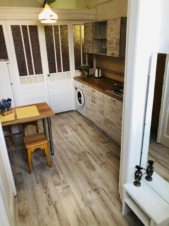 Vintage Apartment 2 Rooms With Balcony Lwów Zewnętrze zdjęcie